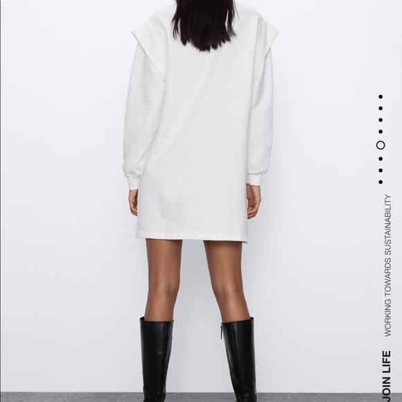 Zara print plush dress Bloggers favorite - Picture 7 of 8